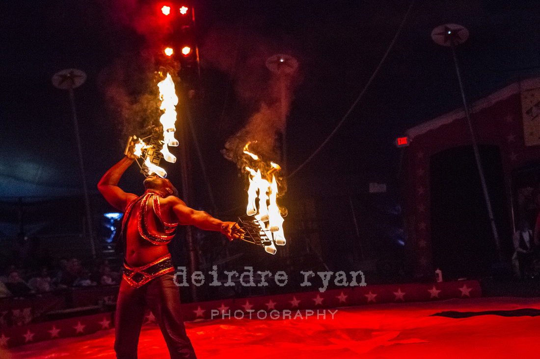 An evening at the Kelly Miller Circus in Browns Mills, NJ by Deirdre Ryan Photography.