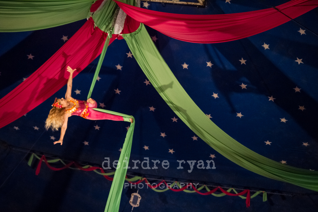 An evening at the Kelly Miller Circus in Browns Mills, NJ by Deirdre Ryan Photography.