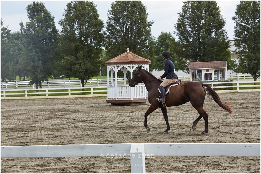 IMG_4487StandardbredNationalHorseShowbyDeirdreRyanPhotography.jpg