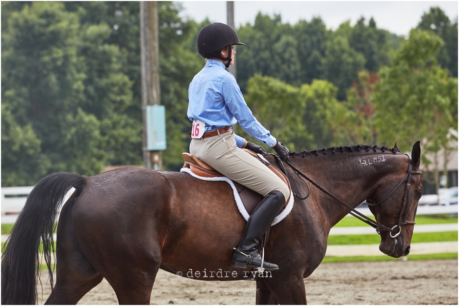 IMG_4544StandardbredNationalHorseShowbyDeirdreRyanPhotography.jpg